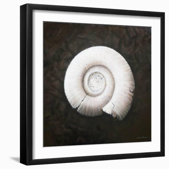 Amononite, 2012-Lincoln Seligman-Framed Giclee Print