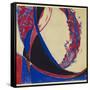 Amorpha Fugue in Two Colors I-Frantisek Kupka-Framed Stretched Canvas