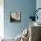 Amorpha Fugue in Two Colors IV-Frantisek Kupka-Framed Stretched Canvas displayed on a wall