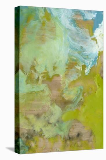 Amorphous II-Jennifer Goldberger-Stretched Canvas