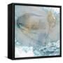 Amorphous II-Jason Jarava-Framed Stretched Canvas