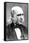 Amos Bronson Alcott (1799-188), American Teacher and Transcendentalist-null-Framed Stretched Canvas