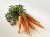 Fresh Carrots with Tops-Amos Schliack-Photographic Print