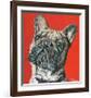 Amour-Melissa Symons-Framed Premium Giclee Print