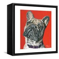 Amour-Melissa Symons-Framed Stretched Canvas