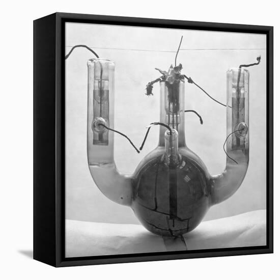 Ampere Full-Wave Thyratron-null-Framed Stretched Canvas