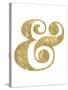 Ampersand Golden White-Amy Brinkman-Stretched Canvas