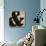 Ampersand-N. Harbick-Stretched Canvas displayed on a wall