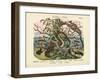 Amphibians and Fishes, C.1860-null-Framed Giclee Print