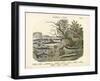 Amphibians and Fishes, C.1860-null-Framed Giclee Print