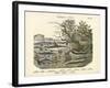 Amphibians and Fishes, C.1860-null-Framed Giclee Print