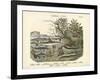 Amphibians and Fishes, C.1860-null-Framed Giclee Print