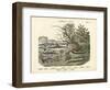 Amphibians and Fishes, C.1860-null-Framed Giclee Print