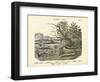 Amphibians and Fishes, C.1860-null-Framed Giclee Print