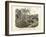 Amphibians and Fishes, C.1860-null-Framed Giclee Print