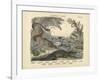 Amphibians and Fishes, C.1860-null-Framed Giclee Print