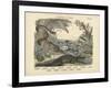 Amphibians and Fishes, C.1860-null-Framed Giclee Print