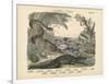 Amphibians and Fishes, C.1860-null-Framed Giclee Print