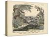 Amphibians and Fishes, C.1860-null-Stretched Canvas