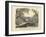 Amphibians and Fishes, C.1860-null-Framed Giclee Print