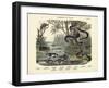 Amphibians and Fishes, C.1860-null-Framed Giclee Print