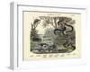 Amphibians and Fishes, C.1860-null-Framed Giclee Print