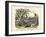 Amphibians and Fishes, C.1860-null-Framed Giclee Print