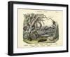 Amphibians and Fishes, C.1860-null-Framed Giclee Print