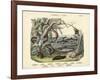 Amphibians and Fishes, C.1860-null-Framed Giclee Print