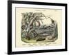 Amphibians and Fishes, C.1860-null-Framed Giclee Print