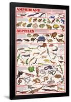 Amphibians and Reptiles Educational Science Chart Poster-null-Framed Poster