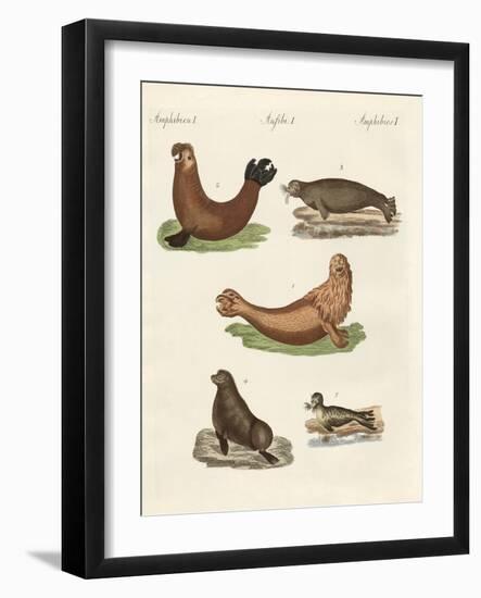 Amphibians-null-Framed Giclee Print