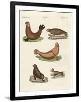 Amphibians-null-Framed Giclee Print