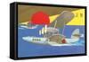 Amphibious Aircraft-null-Framed Stretched Canvas