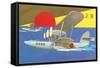 Amphibious Aircraft-null-Framed Stretched Canvas