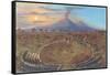 Amphitheater at Pompeii-null-Framed Stretched Canvas