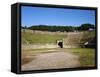 Amphitheater, Pompeii, Italy-null-Framed Stretched Canvas