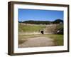 Amphitheater, Pompeii, Italy-null-Framed Giclee Print