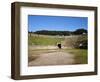 Amphitheater, Pompeii, Italy-null-Framed Giclee Print