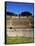 Amphitheater, Pompeii, Italy-null-Framed Stretched Canvas