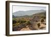 Amphitheatre at the ancient ruins of Kaunos, Dalyan, Anatolia, Turkey Minor, Eurasia-Matthew Williams-Ellis-Framed Photographic Print