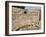 Amphitheatre at the Lycian Site of Patara, Near Kalkan, Antalya Province, Anatolia, Turkey-null-Framed Photographic Print