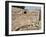 Amphitheatre at the Lycian Site of Patara, Near Kalkan, Antalya Province, Anatolia, Turkey-null-Framed Photographic Print