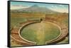 Amphitheatre, Pompeii, Italy-null-Framed Stretched Canvas