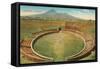Amphitheatre, Pompeii, Italy-null-Framed Stretched Canvas