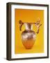 Amphora-Thracian-Framed Giclee Print