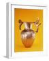 Amphora-Thracian-Framed Giclee Print