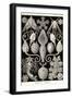 Amphoridea-Ernst Haeckel-Framed Art Print