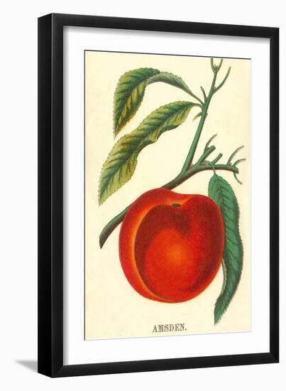 Amsden Peach-null-Framed Art Print