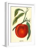 Amsden Peach-null-Framed Art Print